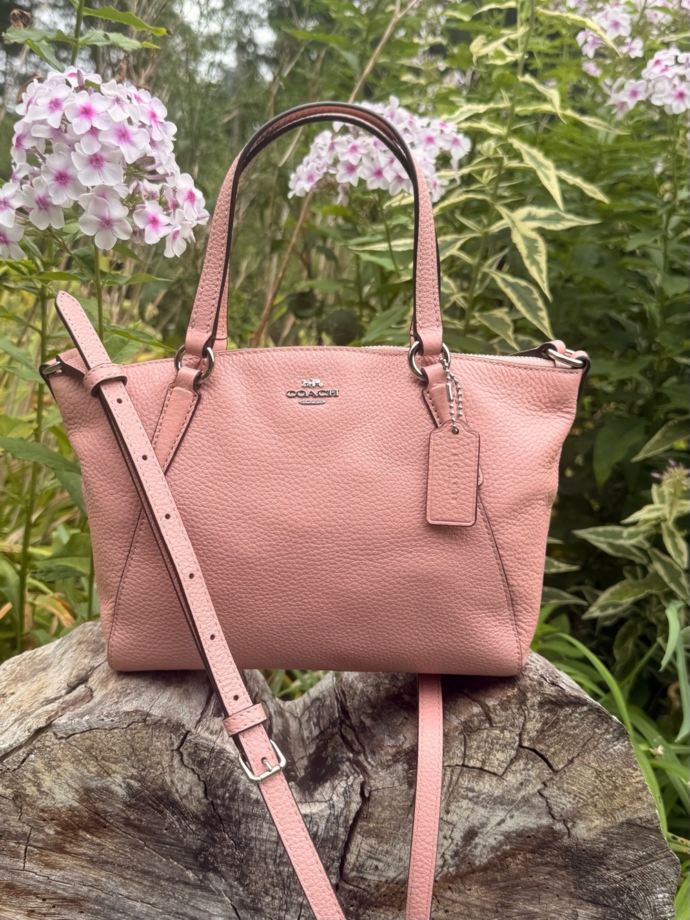 Coach Mini Kelsey Bag F28994